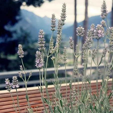 Apartament Bergart Iselsberg