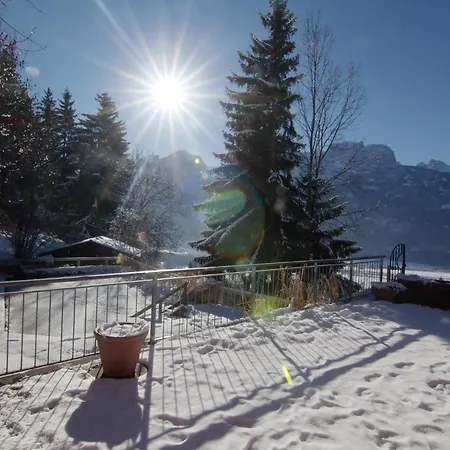 Bergart Apartament *